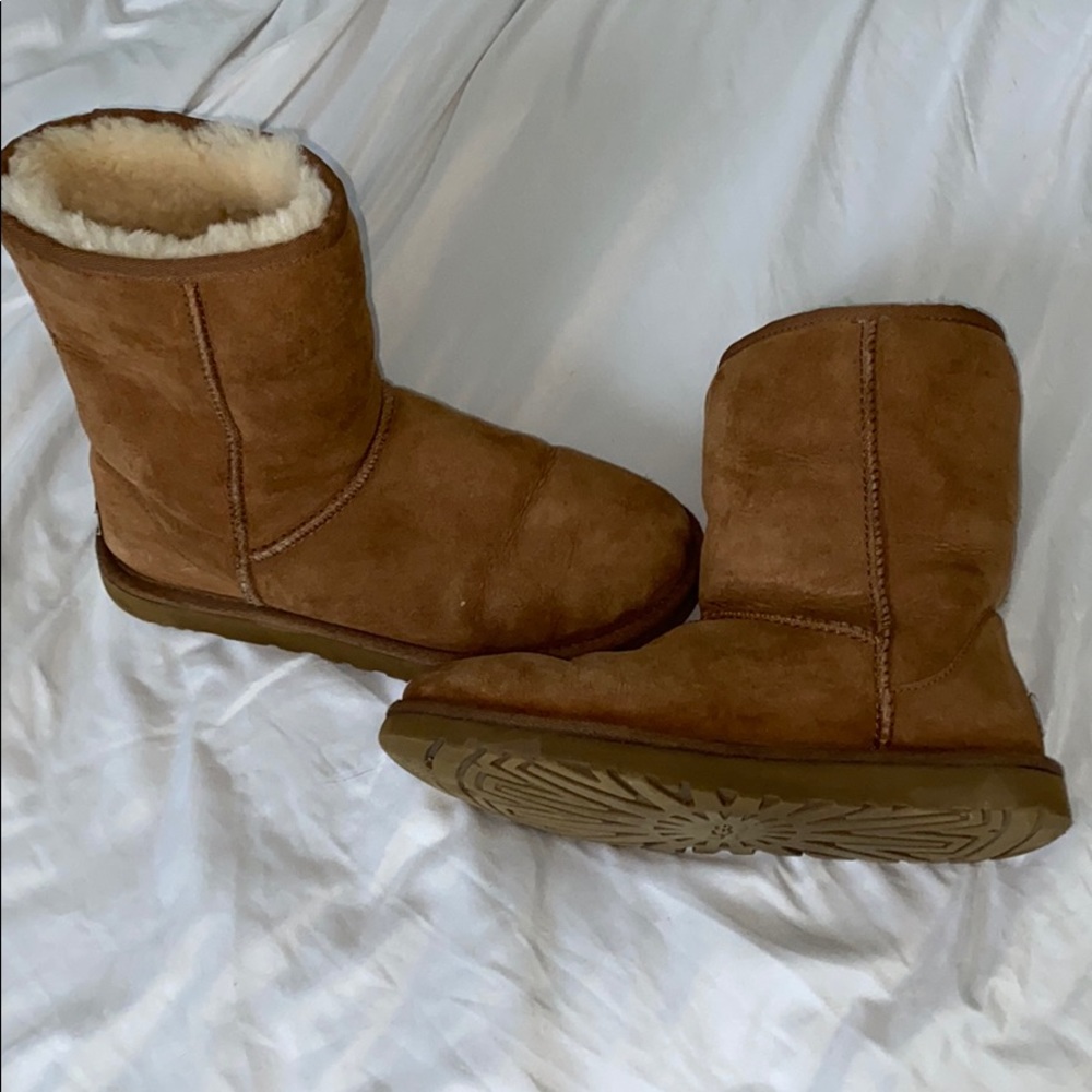 Short Ugg Australia Chestnut boots
